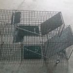 Ryder Cooling & Refrigeration - Heating Service - HVAC Repair in Homosassa FL