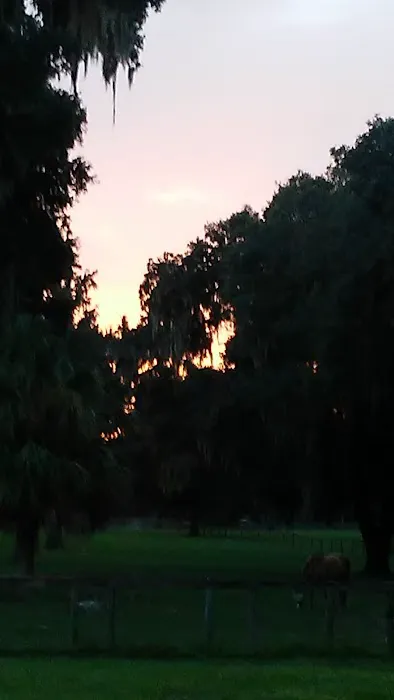 A-1 Quality Cooling & Heating Picture 1