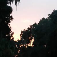 A-1 Quality Cooling & Heating ico