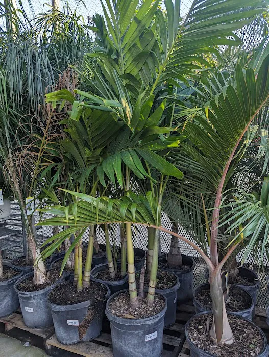 Home Services at The Home Depot Picture 1