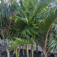 Home Services at The Home Depot ico