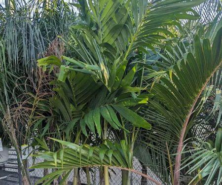 Home Services at The Home Depot