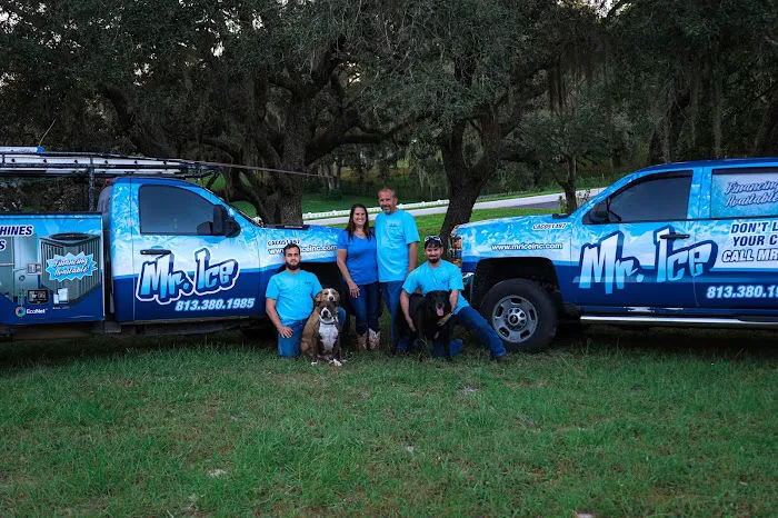 Mr. Ice Inc. Picture 1