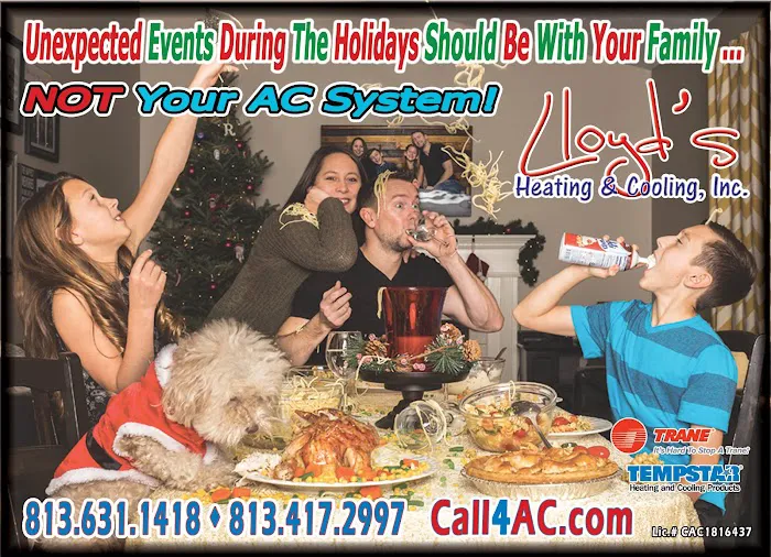 Lloyd's Heating & Cooling, Inc. Picture 9