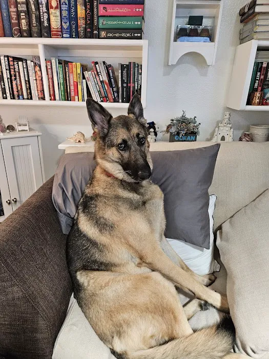 All Weather Heating & Cooling Picture 2