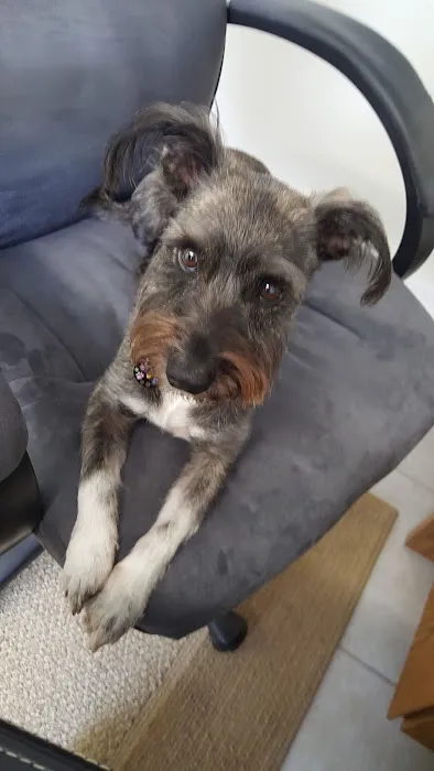 Mid-Florida Heating & Air Picture 4