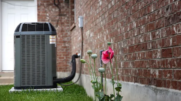 Speedy Tech Services Picture 9