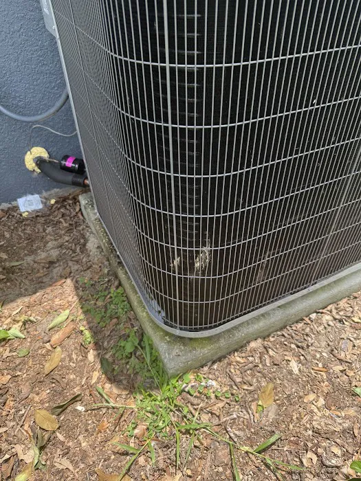 Cypress Air Picture 1