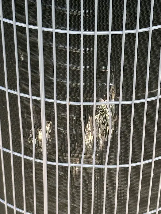 Cypress Air Picture 4