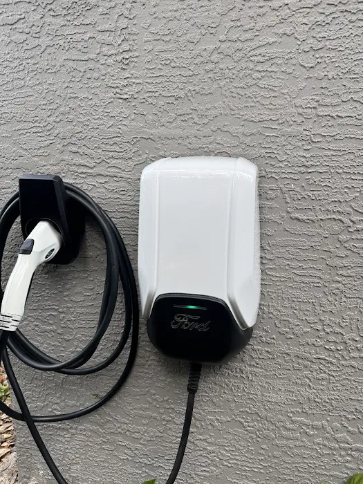 Instant Electric Picture 1