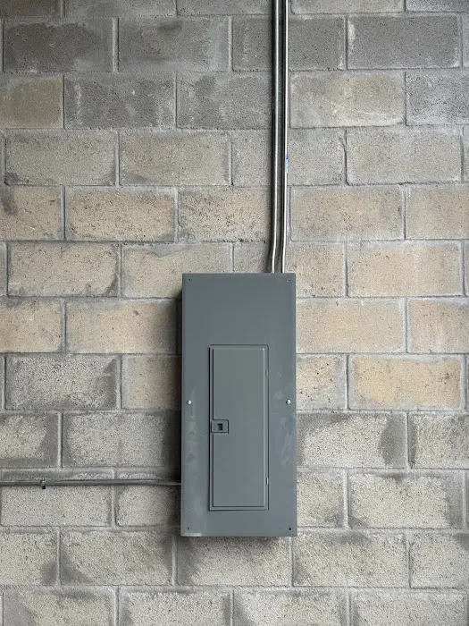 Instant Electric Picture 4