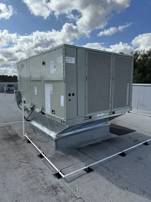 Instant Electric Picture 8