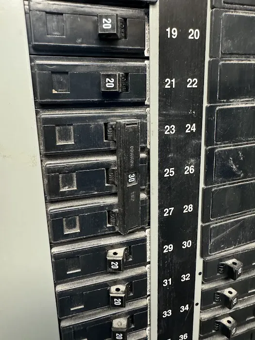 Instant Electric Picture 10