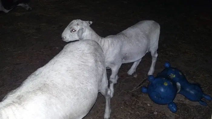 No Sweat Air Conditioning LLC Picture 1