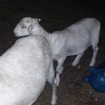 No Sweat Air Conditioning LLC