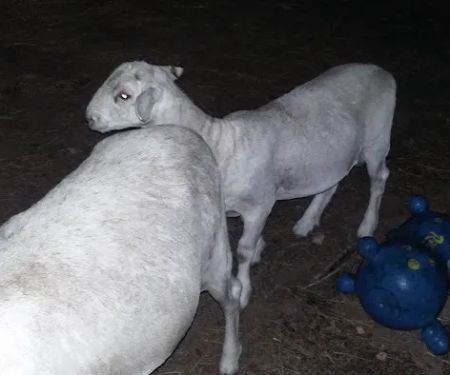 No Sweat Air Conditioning LLC