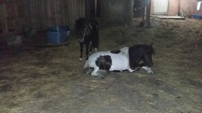 No Sweat Air Conditioning LLC Picture 3