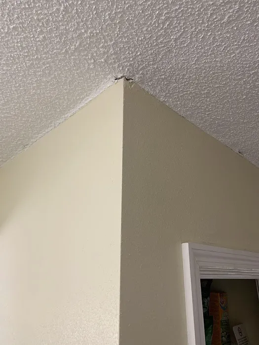 ServiceMaster Professional Services Citrus County Picture 9