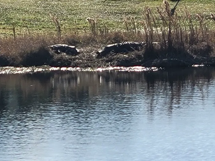 Enjoy Heating & Cooling Picture 2