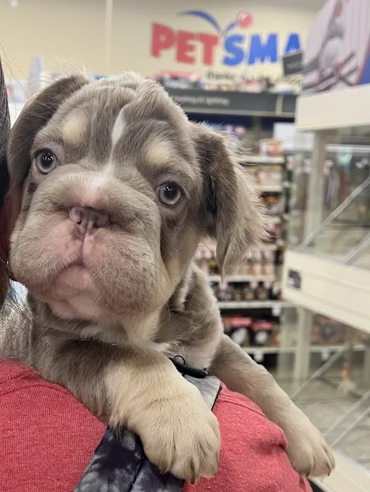 Frank Gay Services Picture 9