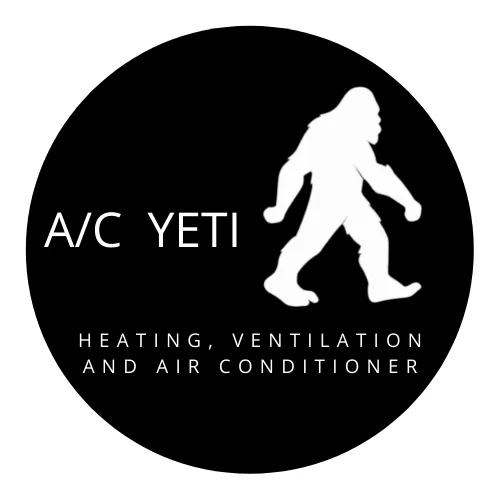 AC Yeti Picture 3