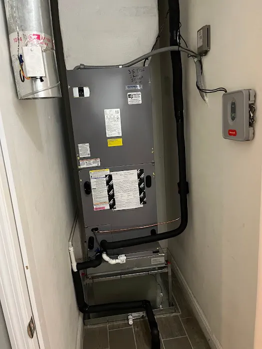 Professor Cool Picture 4