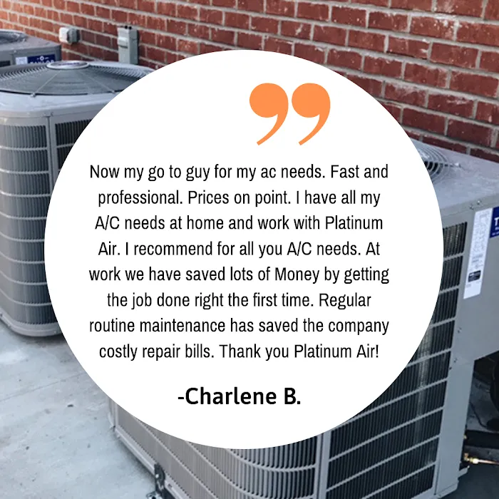 Platinum Air Inc. Picture 3