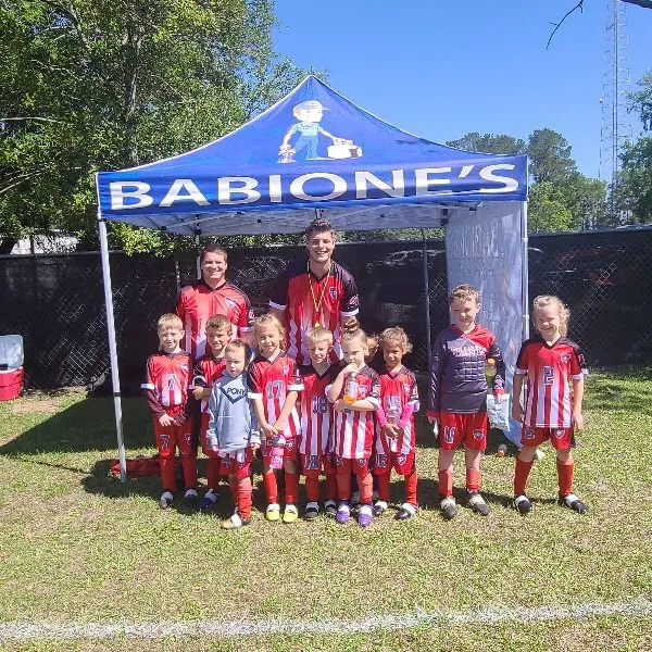 Babione's Air Conditioning & Heating Picture 2