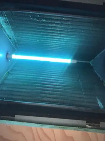 C & C Services of Tampa, Inc. Picture 10