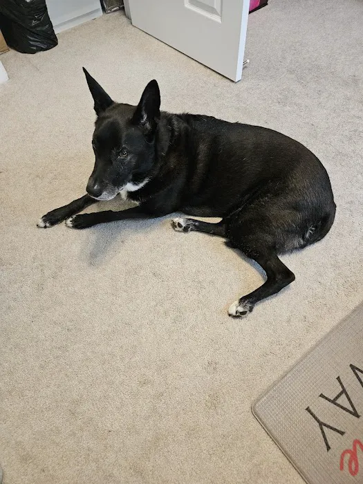 Dave Mastro Air & Heat Inc Picture 8