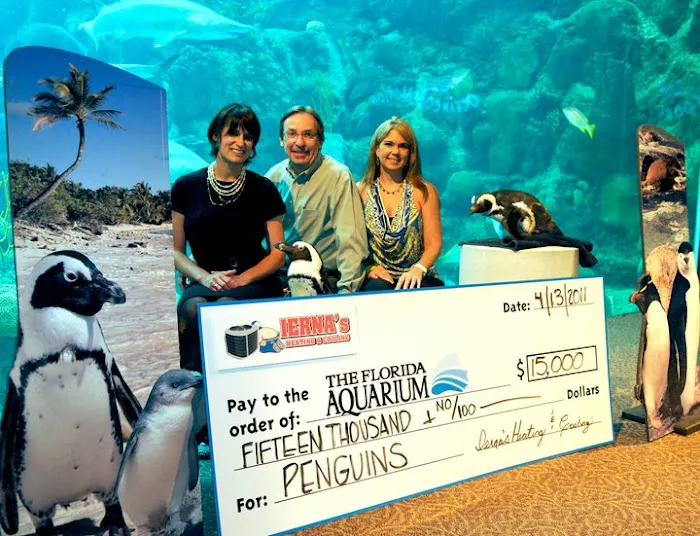 IERNA's Heating, Cooling, Plumbing, & Electrical Picture 10