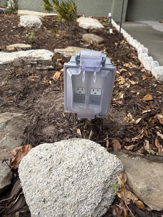 Mister Sparky Picture 8