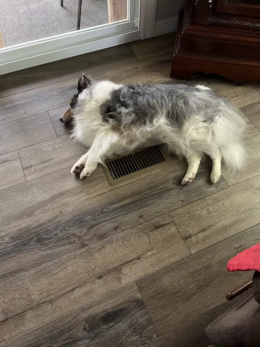 Coolquest Inc. Picture 1