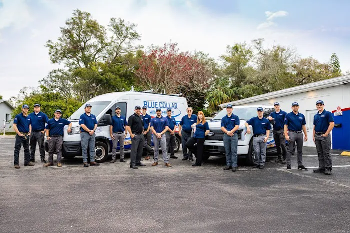 Blue Collar Heating & Cooling Picture 8