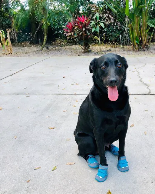 Ahoy Cooling and Heating Picture 9