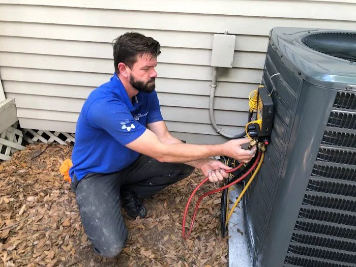 The Comfort Authority Picture 10