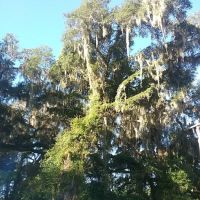 Browning HVAC Service ico