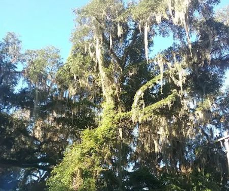 Browning HVAC Service