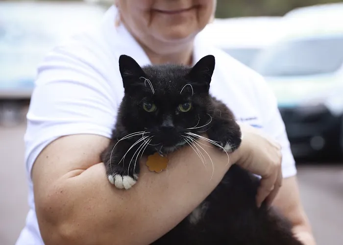 Gulf Coast Air Systems Picture 7