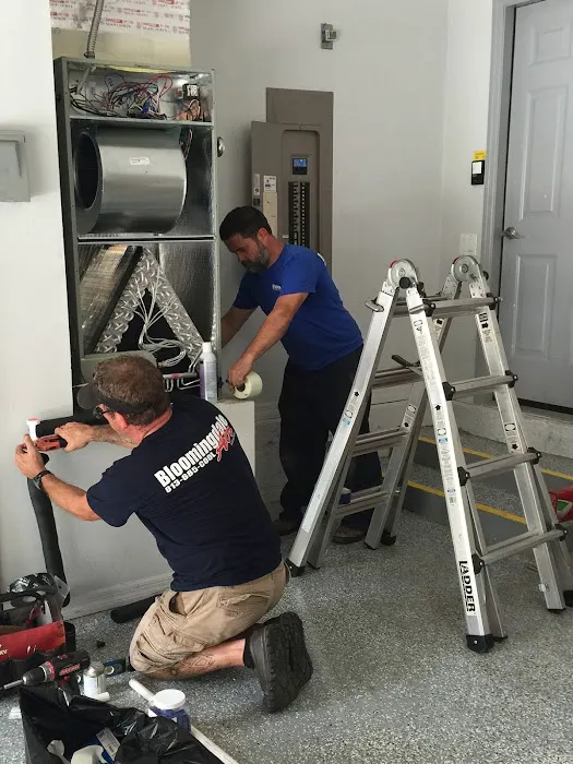 Bloomingdale Air Picture 5