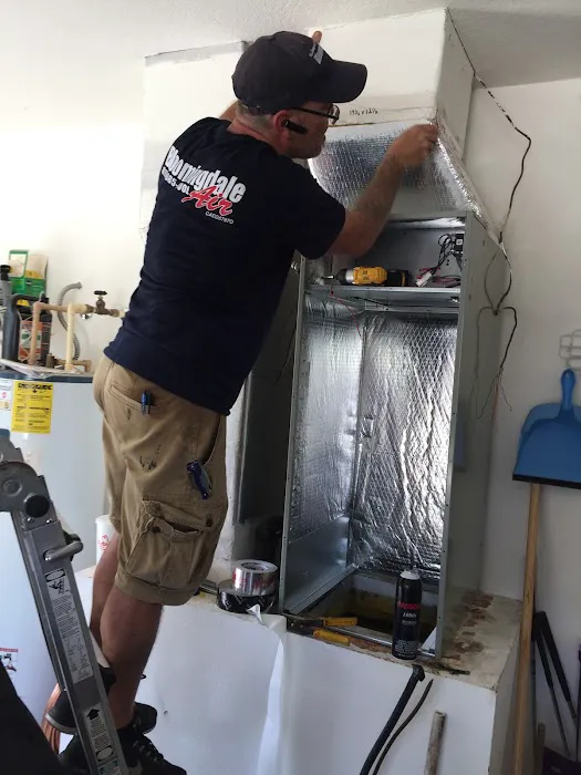 Bloomingdale Air Picture 10