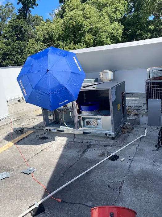 Virtuous Air Picture 5