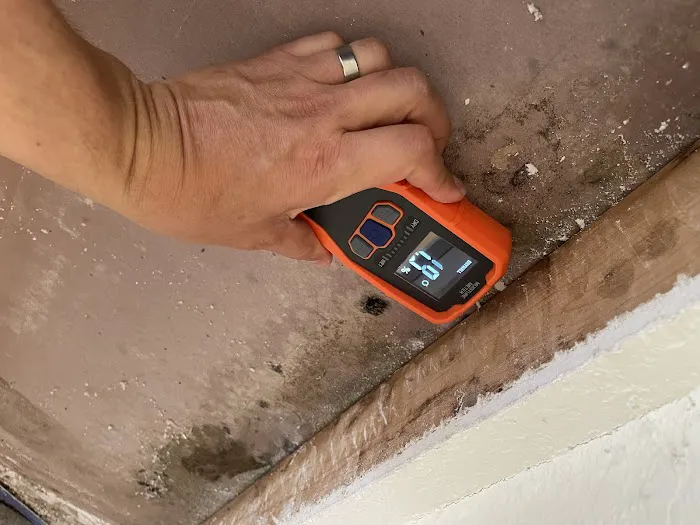 Goose Home Air Specialist Picture 4