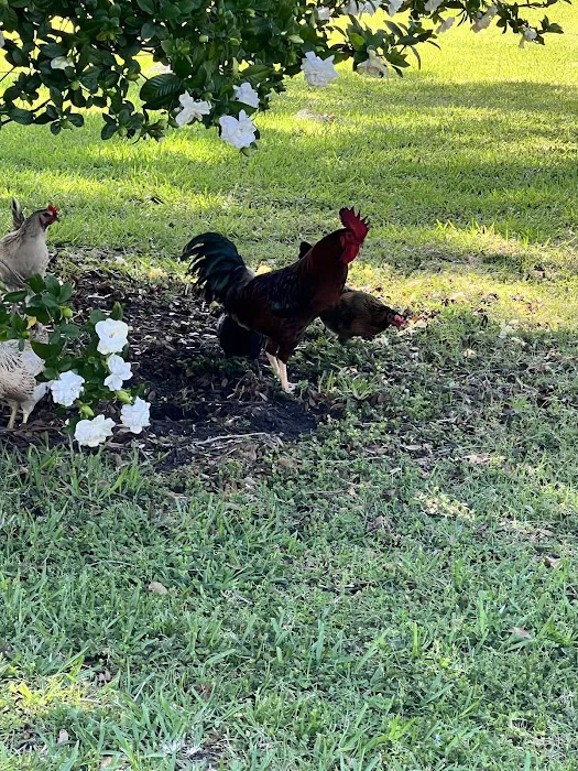 Lowton Air Services Picture 8