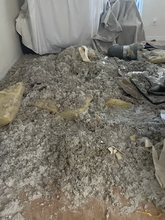 And Services Picture 7