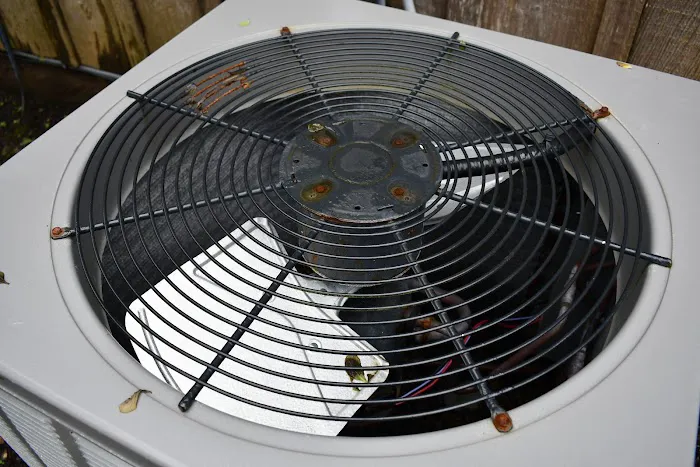 Momentum AC Picture 3