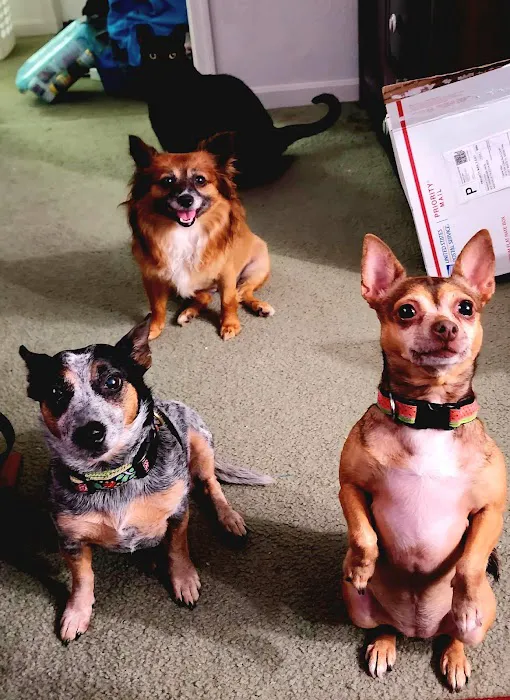 Akins Heating & Air Inc Picture 5