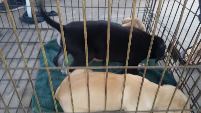 SOUTHERN AUTO REPAIR LLC Picture 4