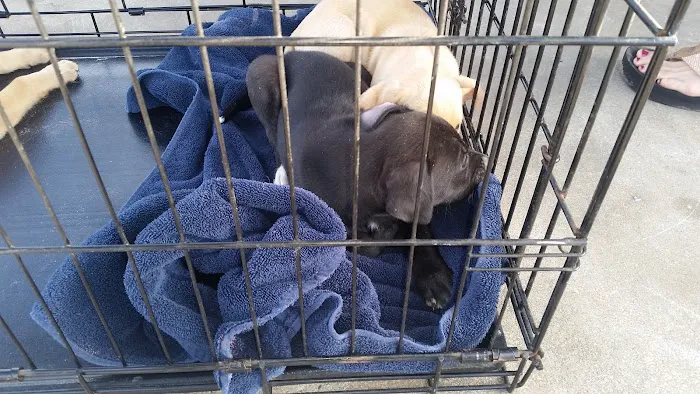 SOUTHERN AUTO REPAIR LLC Picture 6