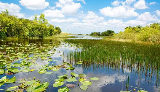 ACE Heat And Air Inc Picture 3